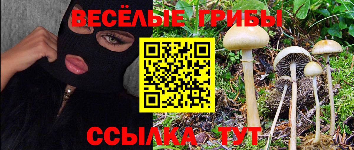 Псилоцибиновые грибы GOLDEN TEACHER Кудрово